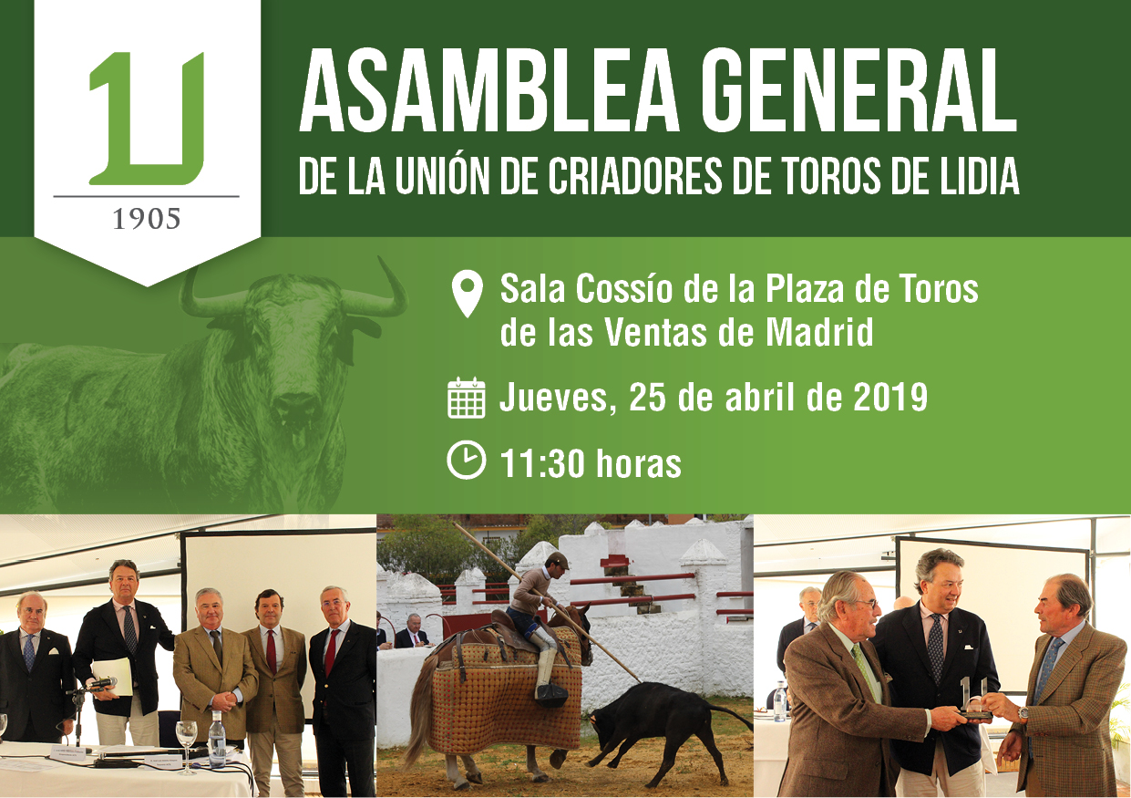 La Uni n De Criadores Celebra Su Asamblea General Este Jueves En Madrid la-uni-n-de-criadores-celebra-su-asamblea-general-este-jueves-en-madrid