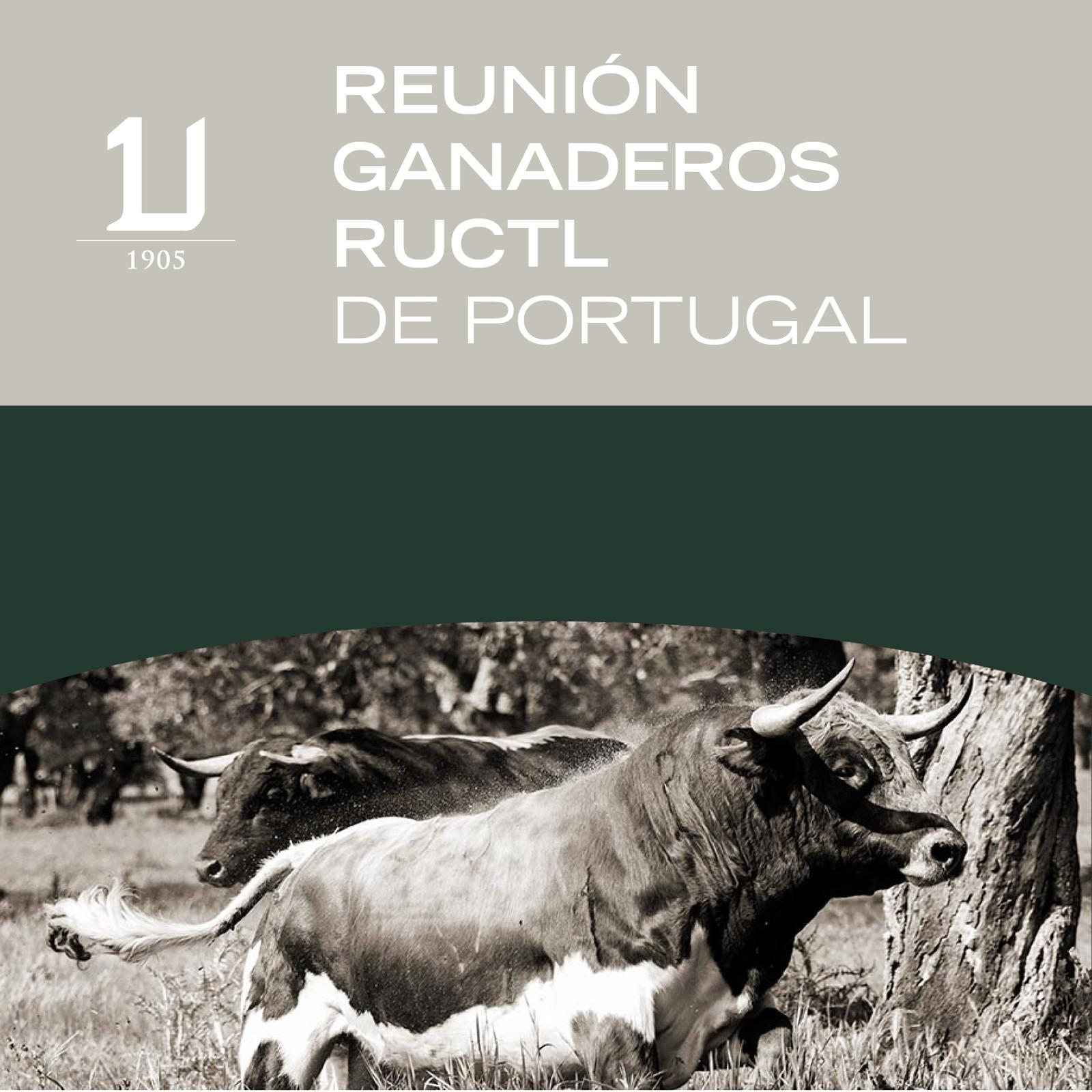 La Real Uni n De Criadores De Toros De Lidia Celebrar Este S bado Una la-real-uni-n-de-criadores-de-toros-de-lidia-celebrar-este-s-bado-una