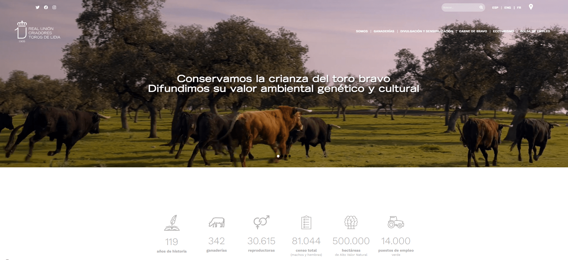 La Real Unión Criadores Toros De Lidia presenta su nueva web