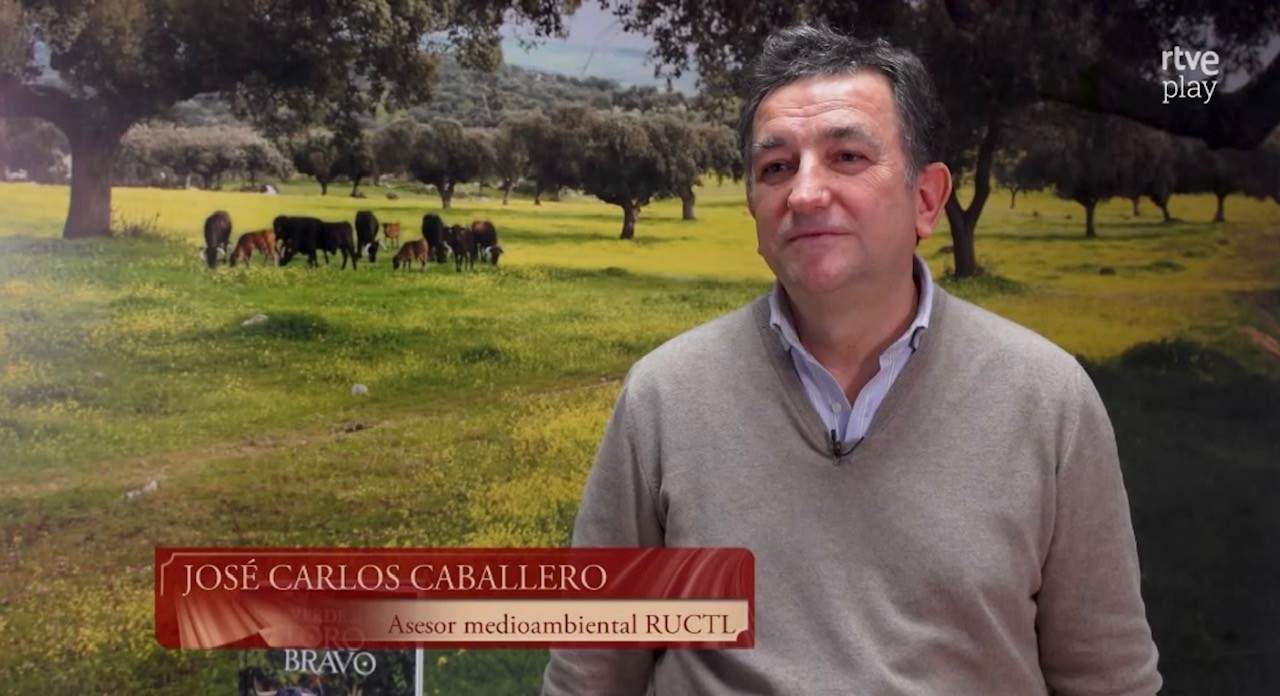 “Tendido Cero” analiza el «Libro Verde del Toro Bravo» y su papel en la conservación del campo