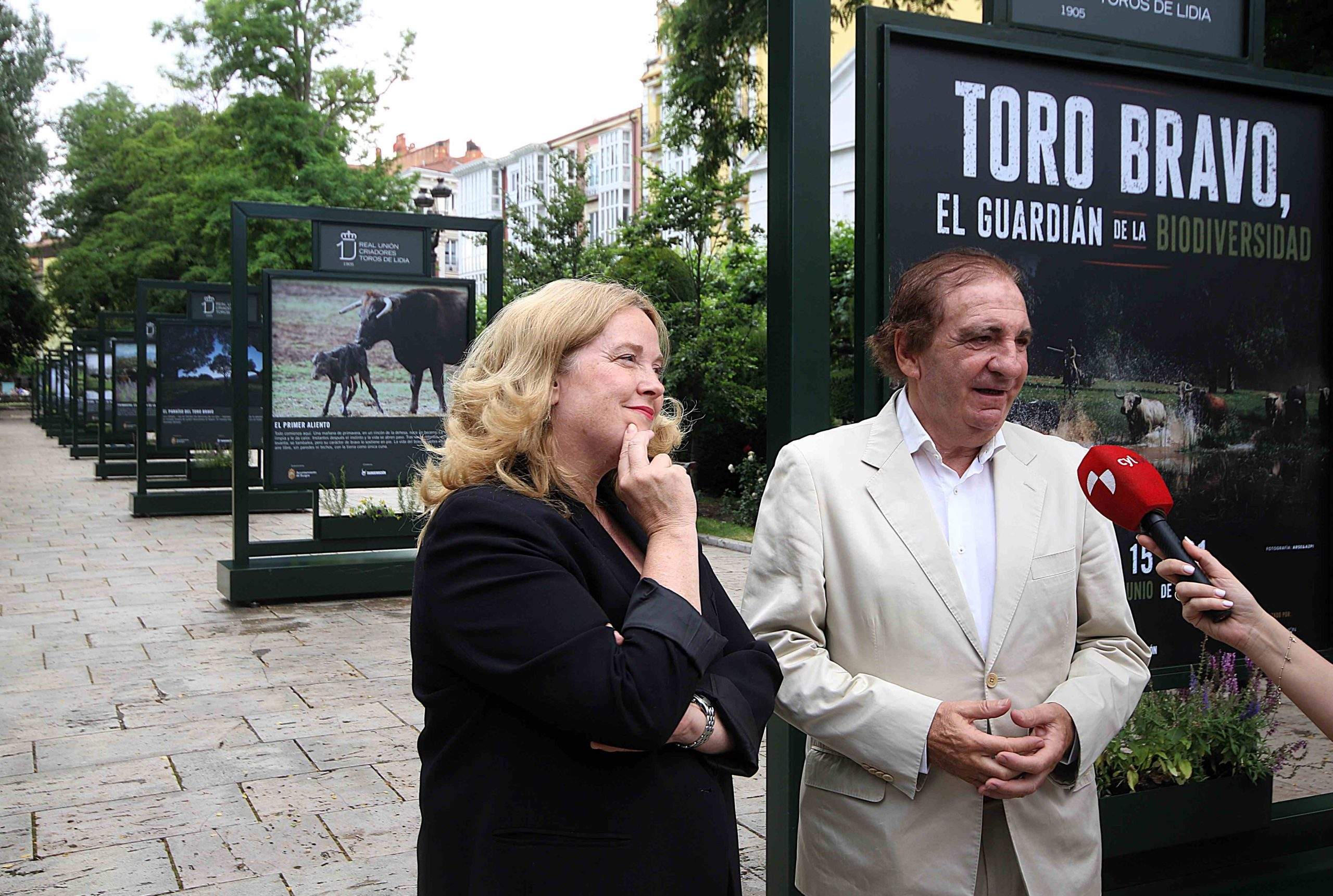 “Toro Bravo, el guardián de la biodiversidad” abre sus puertas en el Paseo del Espolón de Burgos