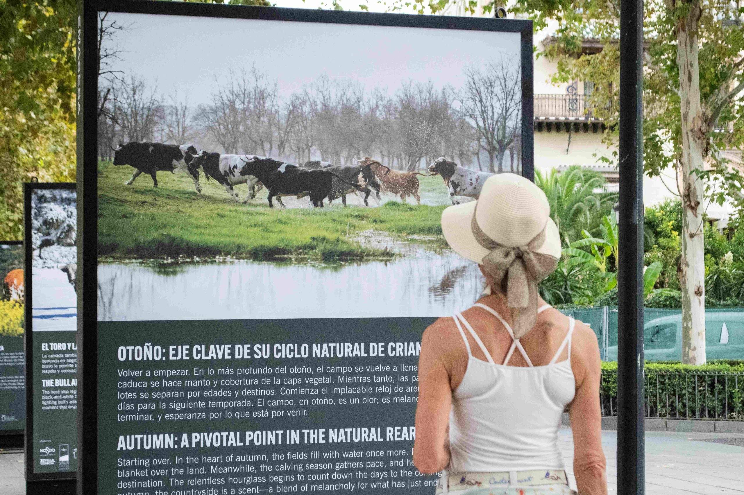 La RUCTL cierra su exposición en Sevilla con más de 150.000 visitantes